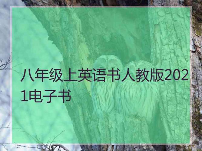 2021年出版的电子书籍,适合收藏的一册