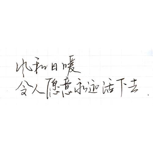 朱生豪情书全集