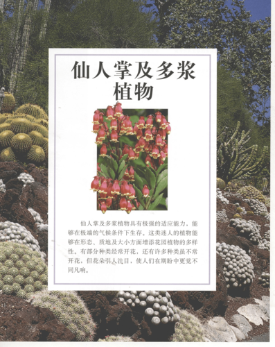 世界园林植物百科全书