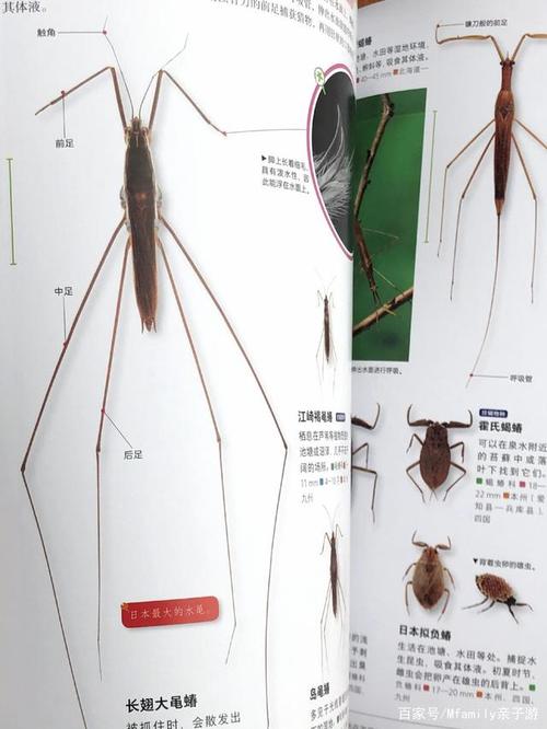 自然万物科普百科套装