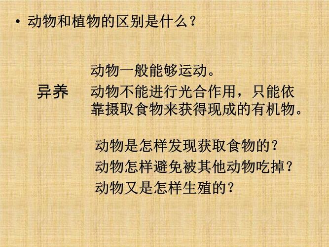 动物的生活史