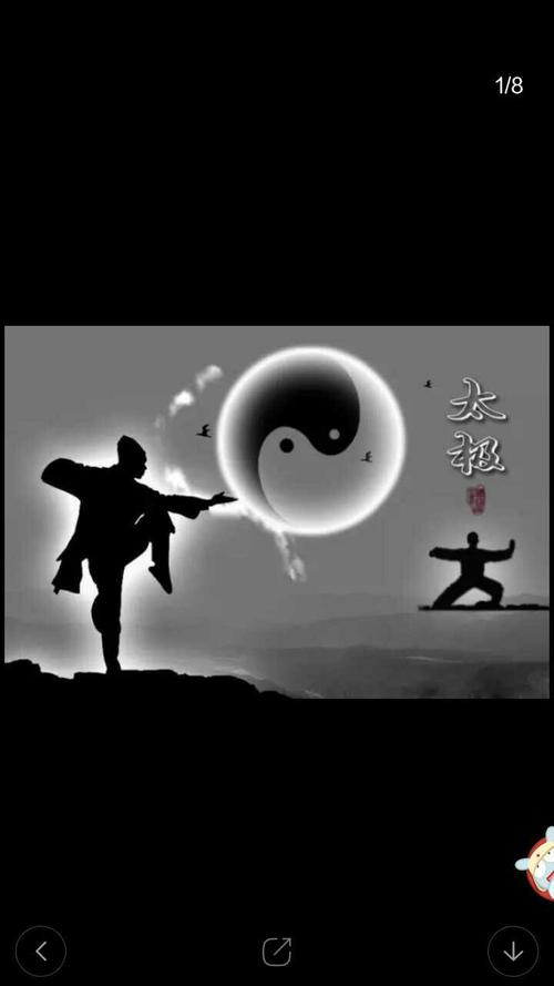 太极推手技击传真秘术