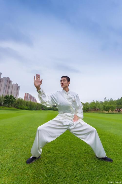 太极拳实战法分享