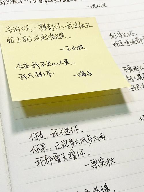 名家合集