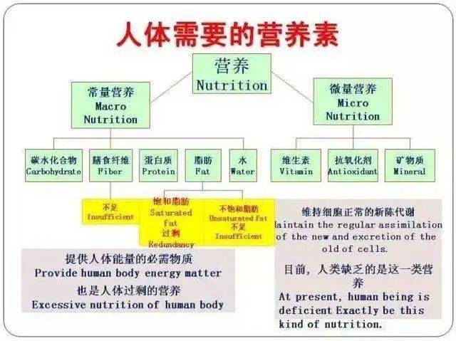 营养圣经：最佳营养学指南