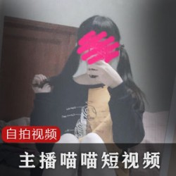 《喵喵》短视频合集：40部萌翻天的精彩瞬间！