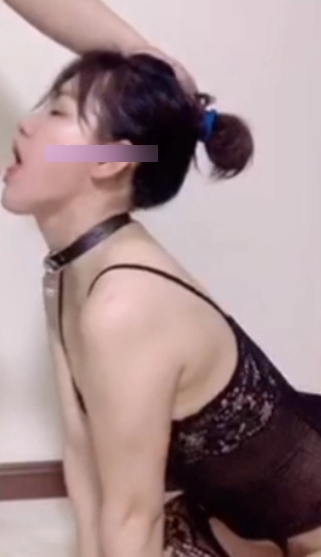 奴隶指教日记